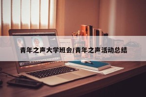 青年之声大学班会/青年之声活动总结