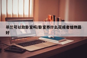 吊兰可以放卧室吗/卧室养什么花或者植物最好