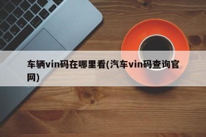 车辆vin码在哪里看(汽车vin码查询官网)