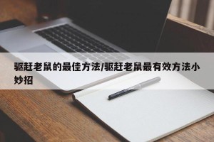 驱赶老鼠的最佳方法/驱赶老鼠最有效方法小妙招
