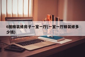 6图精装修房子一室一厅(一室一厅精装修多少钱)