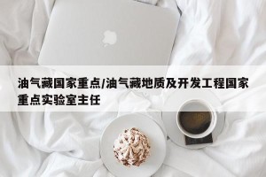 油气藏国家重点/油气藏地质及开发工程国家重点实验室主任