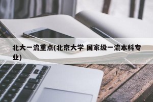 北大一流重点(北京大学 国家级一流本科专业)